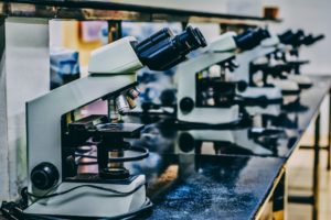 Medicinal Chemist Expert Witness Case Study