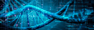 Prostate Cancer Therapy: Insights into the Potential Role of PARP Inhibitors