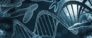 The SMA and DMD Therapeutic Landscape