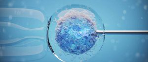 Is the Fertility Solutions Space Due for a Recovery Soon?