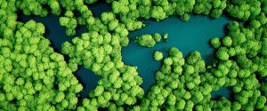 Survey: Impact of COP26 and Net Zero Strategy
