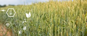 How Food Technology May Help Feed the World