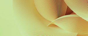 Interview | Insight Lies Beyond Information