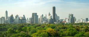 Moving the ESG Needle within Multinationals
