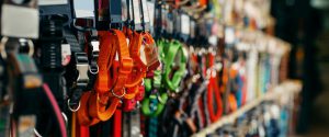 Growth of the Indian Pet Care Space