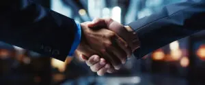 Finding and Working with Governance Expert Witnesses