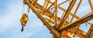 Crane Expert Witness